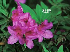 -中山公园