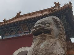 -北陵公园
