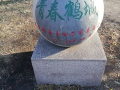 -龙沙公园