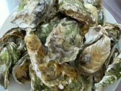 -碣石国家级海洋公园