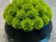 -汤记传菜(秀浦路店)