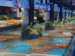 -驻海渔市(置信店)