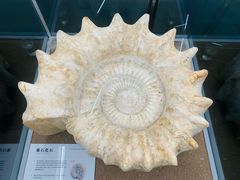 -天津古林古海岸遗迹博物馆