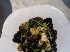 -洞庭家宴·头牌甲鱼(广渠门店)