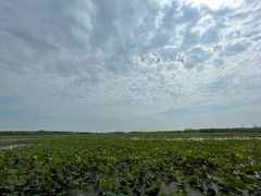 -天津东丽湖风景区