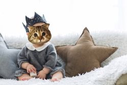 -首尔宝宝SEOUL  BABY STUDIO(通州店)