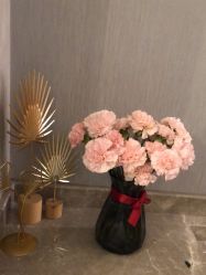 -紫颖·专业美胸·连锁养护中心