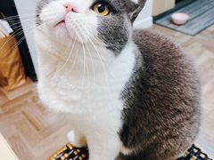 -清真·白记年糕(牛街北口店)