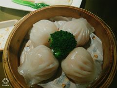 -南枝记