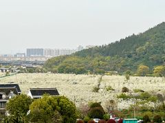 -树山生态村