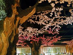 -蓝鲸湾汤泉(包河店)