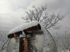 -北京西山国家森林公园