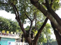 -白云山索道-售票处