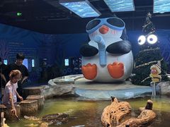 -重庆欢乐海底世界