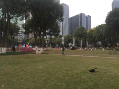 -重庆市江北嘴中央商务区中央公园