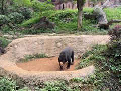 -杭州野生动物世界