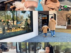 -J Create城市露营咖啡·简餐·宠物(上海动物园店)