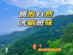 -北京西山国家森林公园