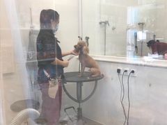 -美联众合24小时·皮肤科·外科·全科诊疗中心(华苑分院)