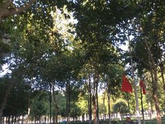 -西北湖绿化广场