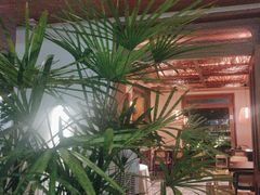 -芸鲜季·云南野生菌餐厅· 云南风物味研社(闵行店)
