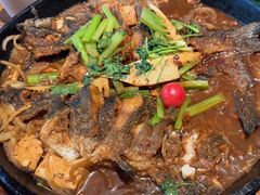 -老板恋上鱼(恒隆广场店)