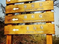 -阳台山自然风景区