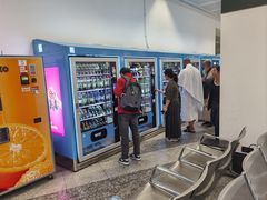 -米兰-马尔彭萨机场