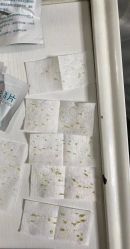 -安那般那皮肤年轻化ANAPANA