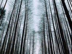 -山王坪喀斯特国家生态公园