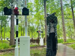 -黄海国家森林公园