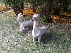 景点-长春公园(普阳街道)