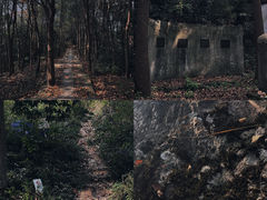 -午潮山国家森林公园