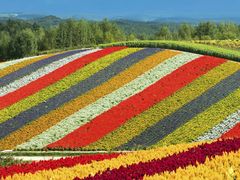 -万宁(新澳门银河店)