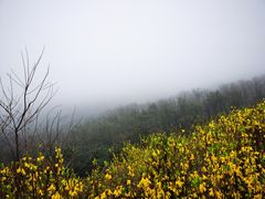 -沂蒙山旅游区云蒙景区(蒙山国家森林公园)