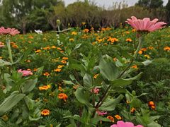 -华东政法大学(松江校区)