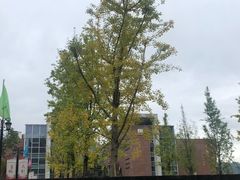 -四川农业大学(雅安校区)