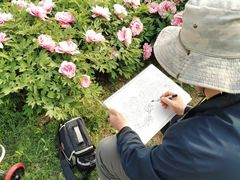 -济南国际园博园