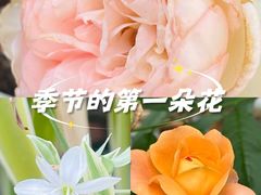 -上海虹桥国际机场