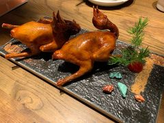 -大鸽饭(岗顶店)