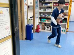 -博特宠物医院24h犬猫全科.骨科·异宠