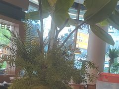 -一沙一城·岩烤牛扒(深圳首店)