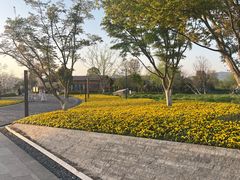 -良渚古城遗址公园