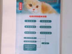 -艾贝尔宠物医院·24H转诊中心·肿瘤猫专科(江宁双龙店)