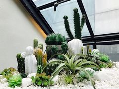 -大树餐厅(红旗街万达店)