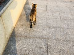 -UNI UNI(环亚凯瑟琳店)