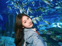 -海合安武汉极地海洋公园