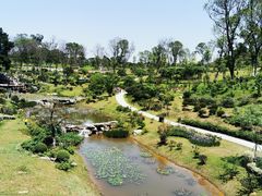 -东莞植物园