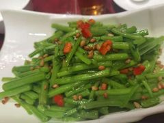 -邵年鸽(杨庄店)