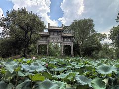 -西溪国家湿地公园